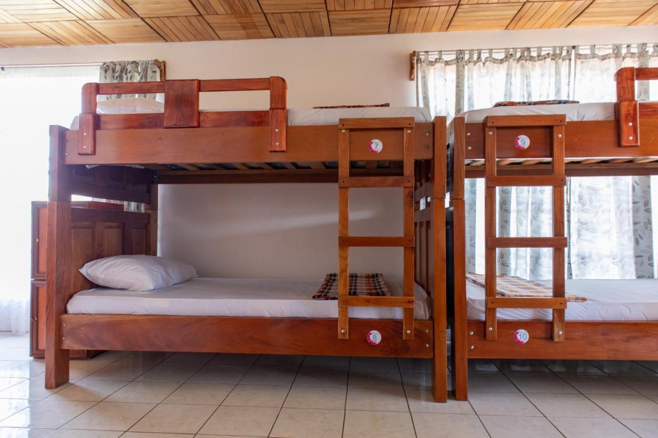 Hostel Bouganvilia Bed And Breakfast San Ramón 外观 照片