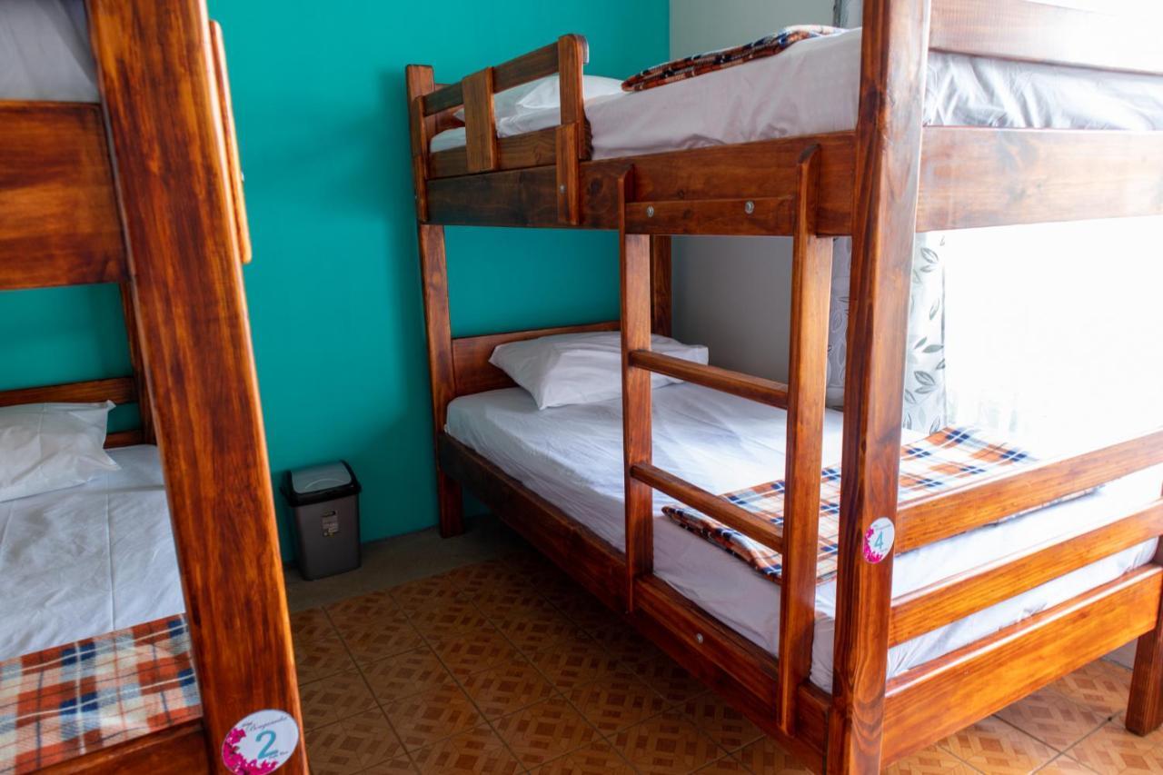 Hostel Bouganvilia Bed And Breakfast San Ramón 外观 照片